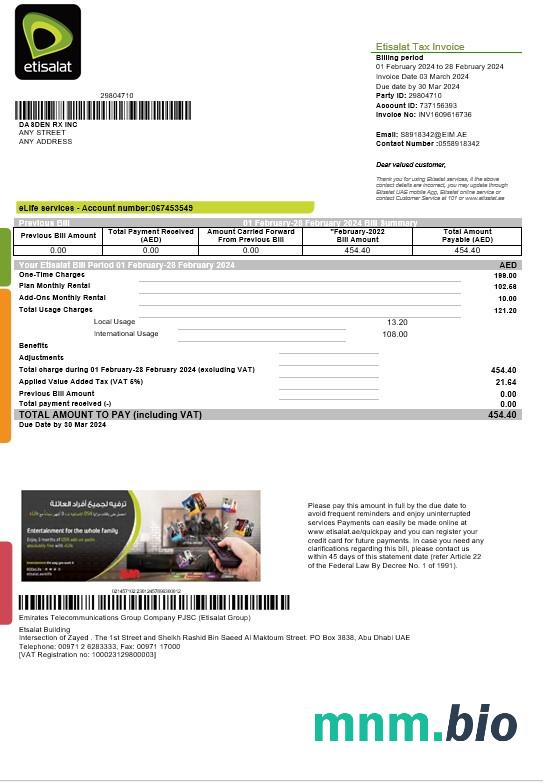 Szablon rachunku za media biznesowe ZEA Etisalat w formatach Word i PDF